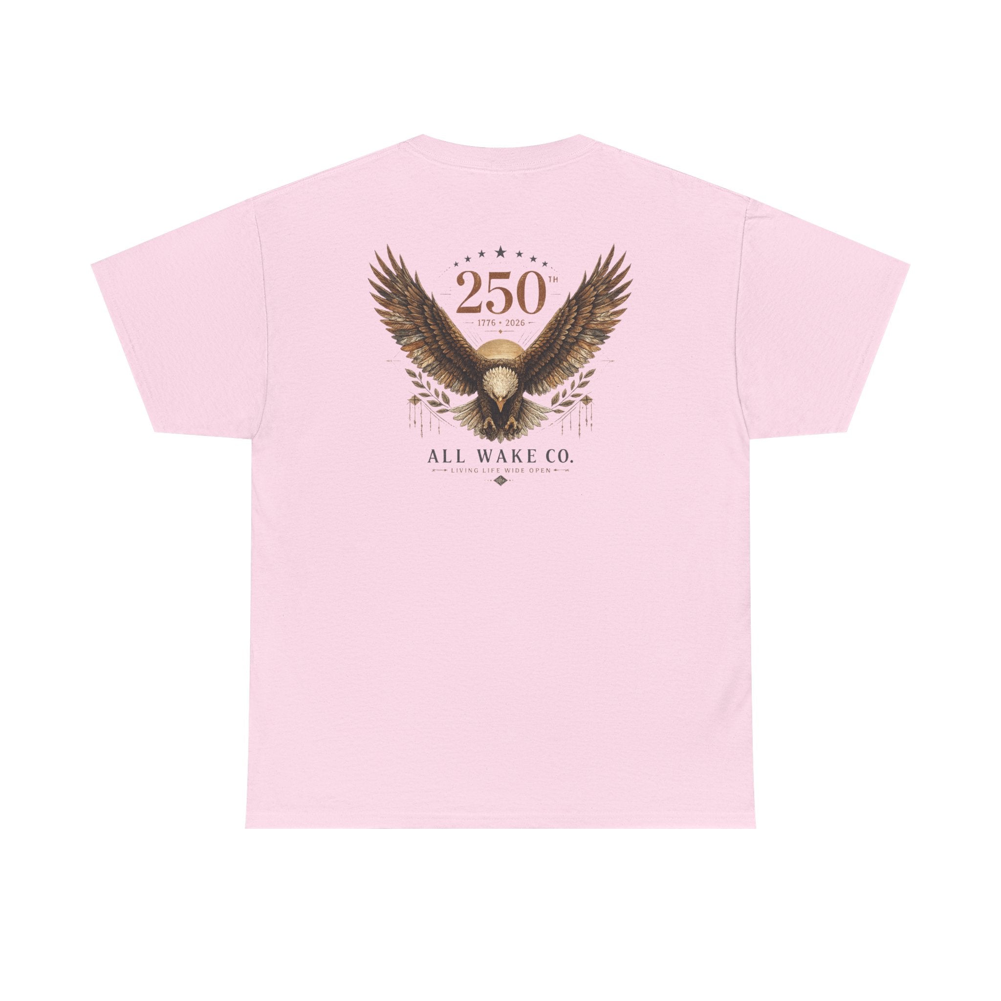 All Wake Co. 250th Eagle Compass T-Shirt